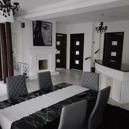 Pensiunea Timis Borşa Esterno foto