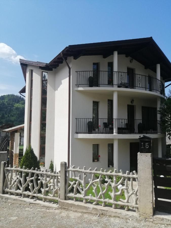 Pensiunea Timis Borşa Esterno foto